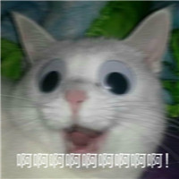 �����������������ͼ1