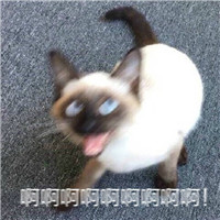 �����������������ͼ0