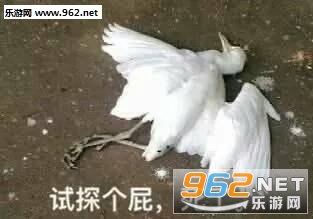 �����ҽ�������ı����ͼƬ��ͼ4