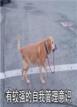 �����ҽ�������ı����ͼƬ