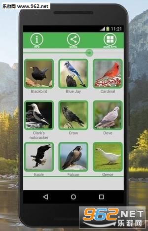 Bird Sounds(������APP)v3.5��ͼ2