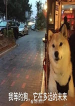 ��һ�����������