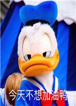 ���첻�����Ѽ�����ͼƬ