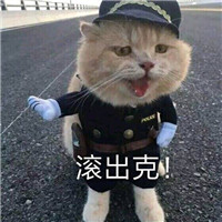 �����������Ⱦ�ͷ�۱����
