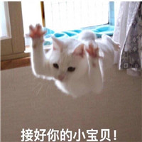 �����������Ⱦ�ͷ�۱������ͼ0