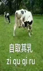 ����ϵ�б����
