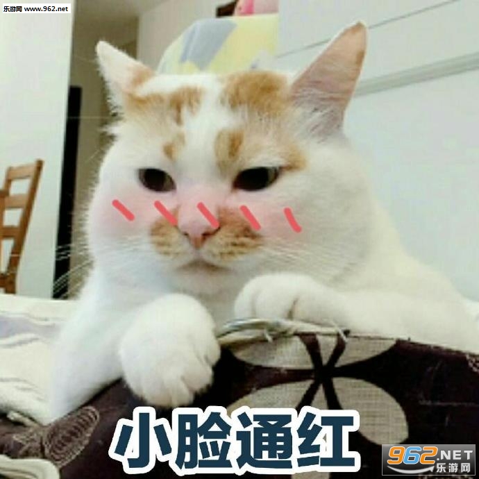 ��ϣ���������ʵ�ı����ͼƬ��ͼ12