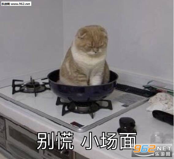 等我在上号了表情包截图0