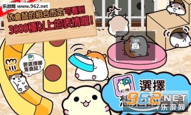 倉鼠系列无限瓜子版截图1