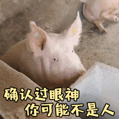 ȷ�Ϲ���������ܲ����˱������ͼ2