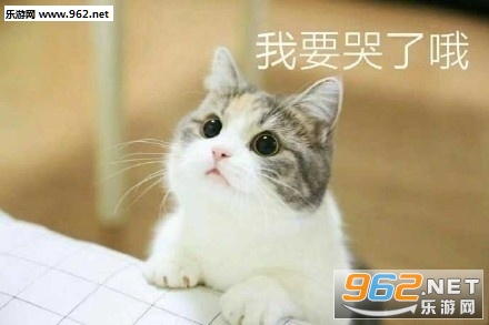 ��Ǯ��Ҫ������è��������ͼ0