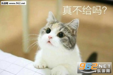 ��Ǯ��Ҫ������è��������ͼ1