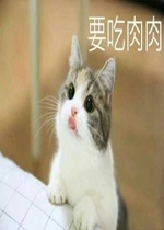 ��Ǯ��Ҫ������è������