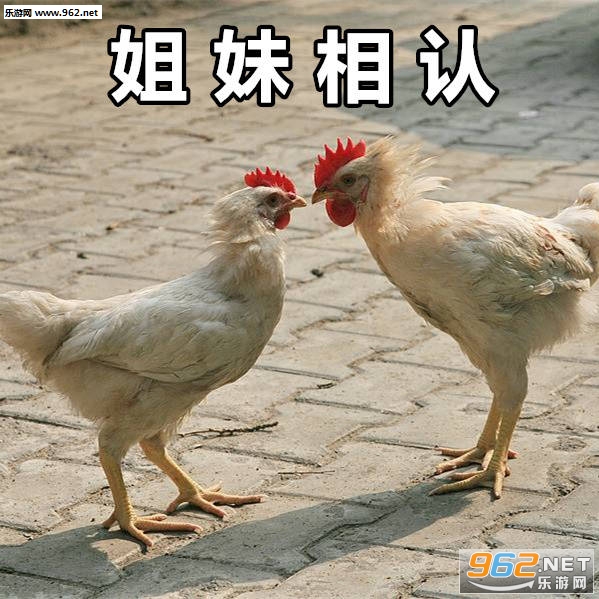 ��ok��ok�������ͼ8