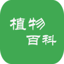 ֲ��ٿ�app
