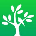 ����ɭ��app