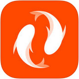 ����Ӣ�����APP