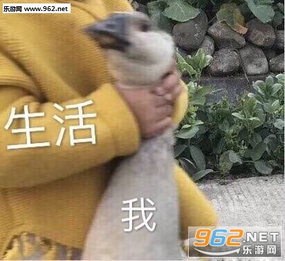 ������ұ������ͼ3