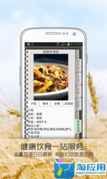 ��������app��ͼ0