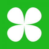 ����APP