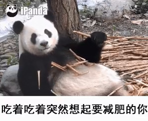 ���ų���ͻȻ����Ҫ���ʵ�������gif��ͼ0