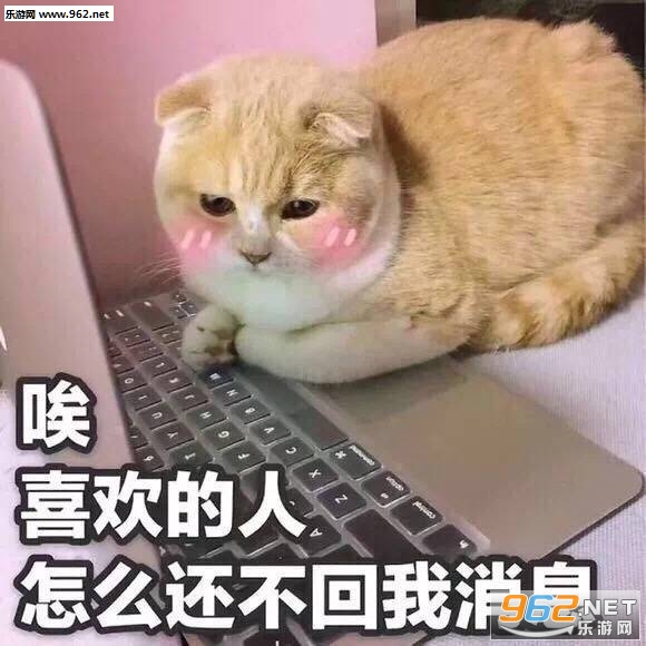��������Ц�����ʻ�Ҳ����������ͼƬ��ͼ6