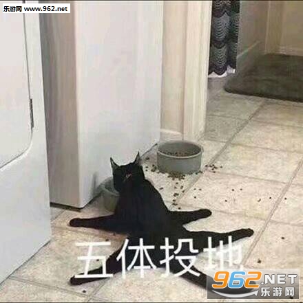 ���ݺ��ݺ����沨Ʈҡ�����ͼƬ��ͼ2