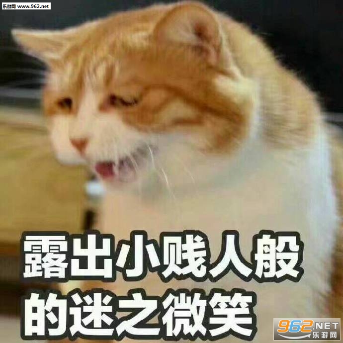 ���ݺ��ݺ����沨Ʈҡ�����ͼƬ��ͼ4