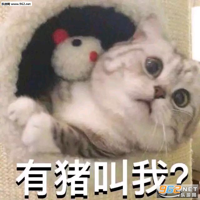 ��Ҳû��ʲôѽ�����ͼƬ��ͼ3