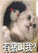 ��Ҳû��ʲôѽ�����ͼƬ