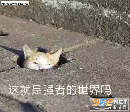 ��Ҳû��ʲôѽ�����ͼƬ��ͼ8