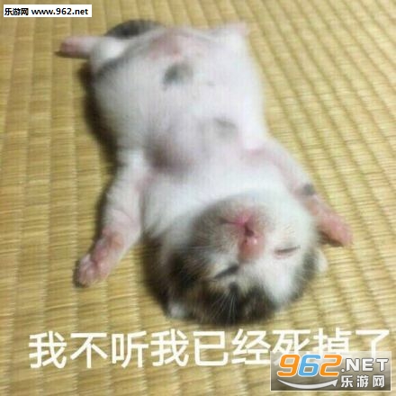 ��Ҫ��͸����֪�������㲻Ҫ�ٽ��˱������ͼ6