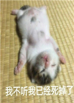 ��Ҫ��͸����֪�������㲻Ҫ�ٽ��˱����