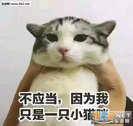 ģ��ϵ��С�����ȫ���°��ͼ1