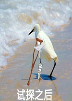 �ڰ���ı�Ե��̽�����