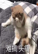 ����ĺ����������Ǳ����