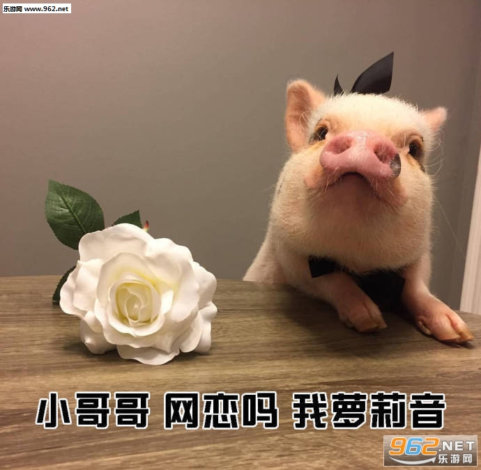 С���Ƿ������ǧ�ֹ����������ͼ0