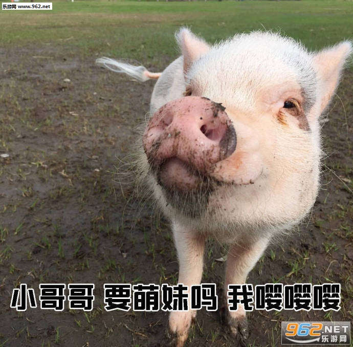 С���Ƿ������ǧ�ֹ����������ͼ2