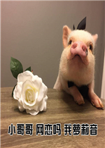 С���Ƿ������ǧ�ֹ��������