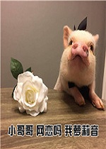 С���Ҫ�������������ӱ����