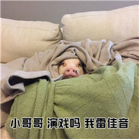 С���Ҫ�������������ӱ������ͼ0