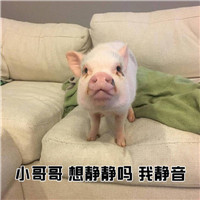 С���Ҫ�������������ӱ������ͼ1
