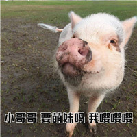 С���Ҫ�������������ӱ������ͼ3