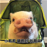 С���Ҫ�������������ӱ������ͼ4