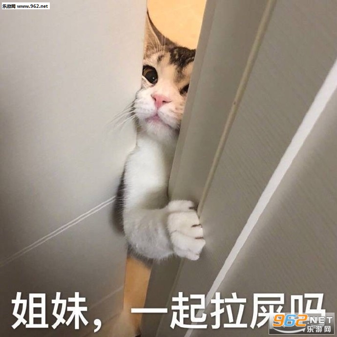 ��ƫ����ȡ�ֳ����������������ͼƬ��ͼ6