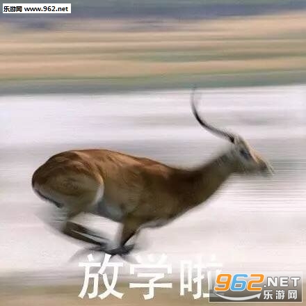 ��ѧ��ȥ����ȥ��������������ͼƬ��ͼ0