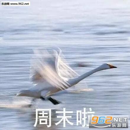 ��ѧ��ȥ����ȥ��������������ͼƬ��ͼ1