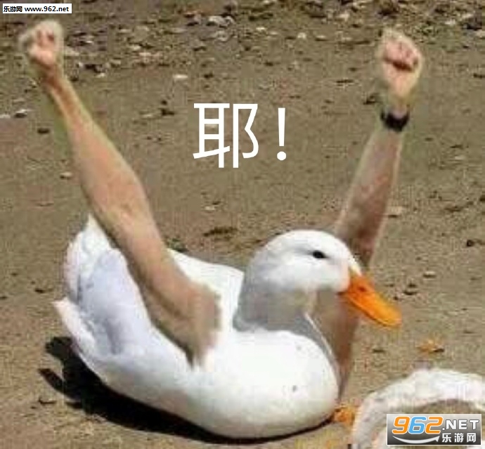 �������ҵĴ������Ҳ���ҵ��廨��ϵ�б�ͼƬ��ͼ1