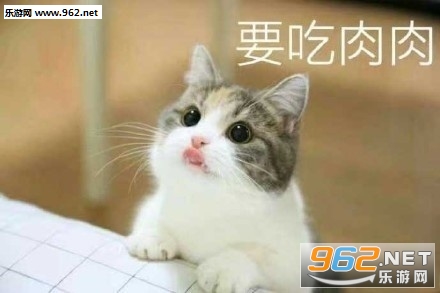 Ҫ������Сè�ɰ�����ͼƬ��ͼ1