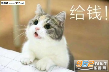 Ҫ������Сè�ɰ�����ͼƬ��ͼ0